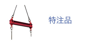 特注品