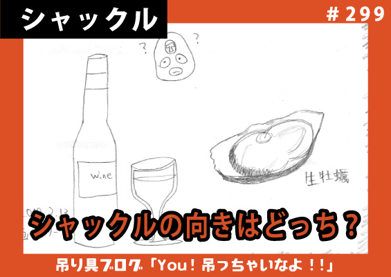 シャックルの向きはどっちが正しいの？【クイズ】～静索×静索の場合～