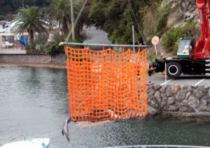 インカスリングモッコ　納入事例　大型海水魚
